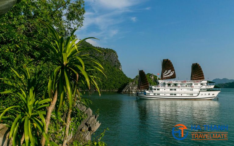 Read more about the article Bhaya Classic Cruise 3 days/2 nights