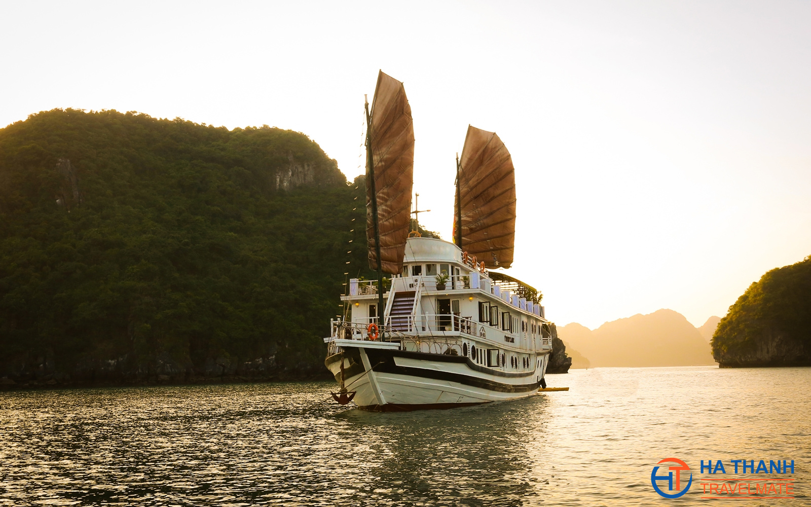 Read more about the article Swan Cruise