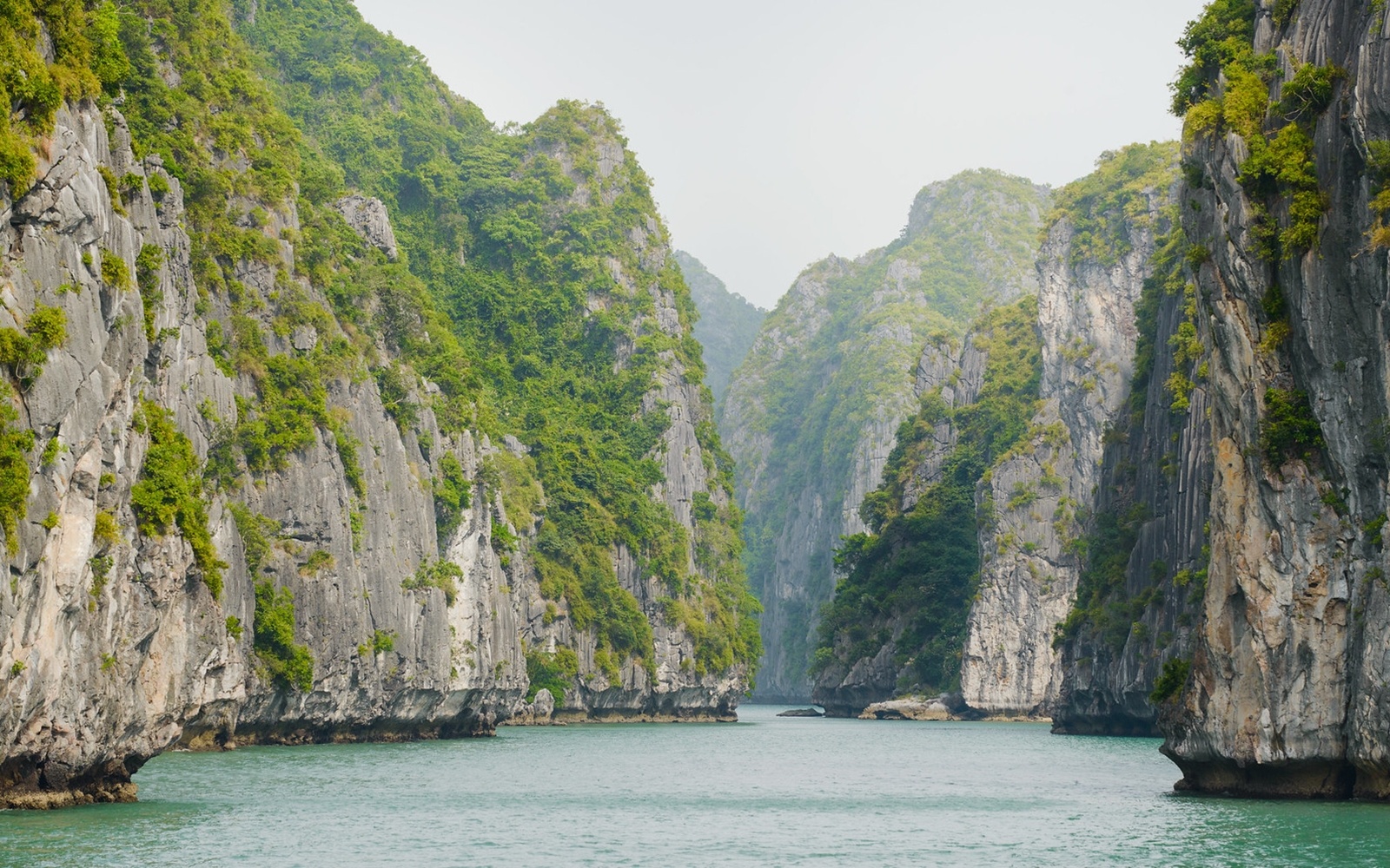 You are currently viewing Difference between Halong Bay and Lan Ha Bay?
